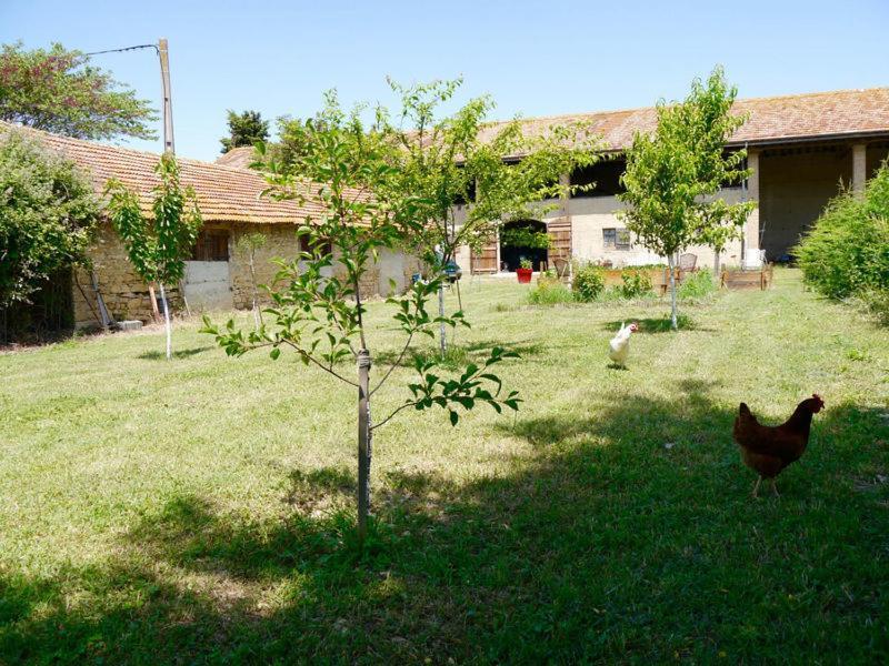 Ferme St Pierre 2 Suites Avec Repas, Piscine, Clim, Cheminee Ou Baignoire Spa Chabeuil Buitenkant foto
