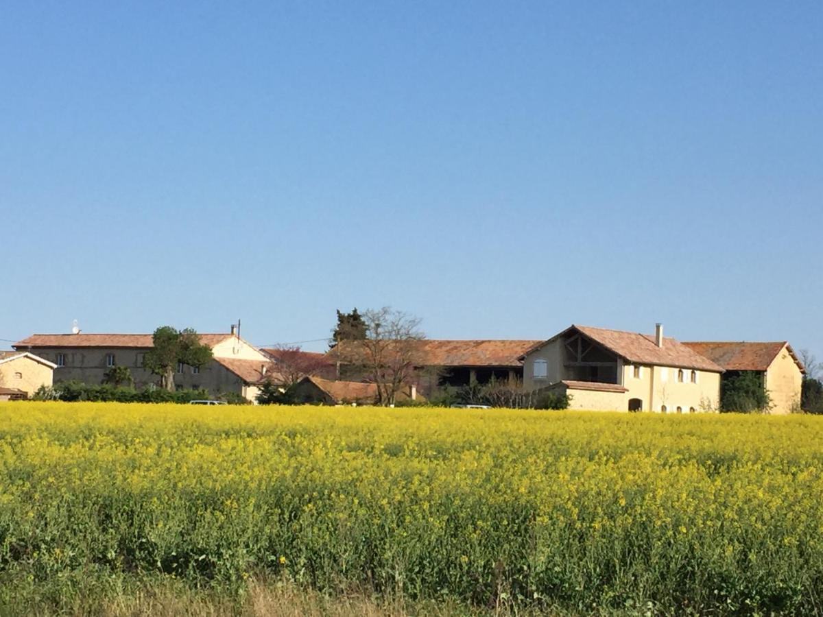 Ferme St Pierre 2 Suites Avec Repas, Piscine, Clim, Cheminee Ou Baignoire Spa Chabeuil Buitenkant foto