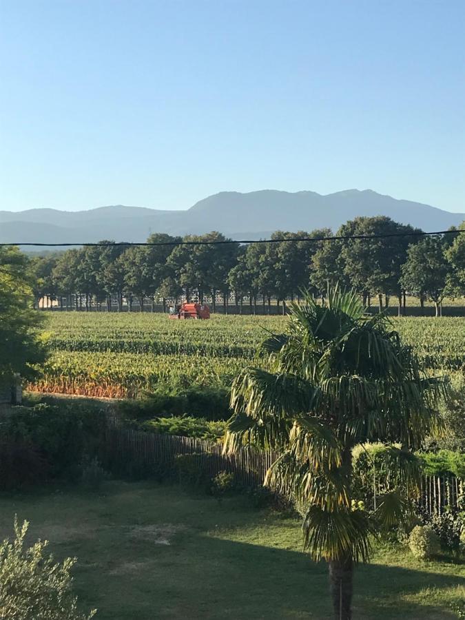 Ferme St Pierre 2 Suites Avec Repas, Piscine, Clim, Cheminee Ou Baignoire Spa Chabeuil Buitenkant foto